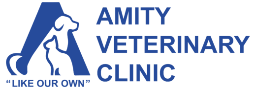 AMITY  logo-01.png